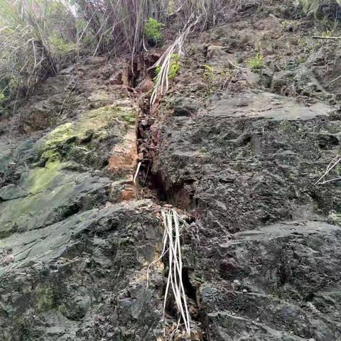 生命至上，快速响应，及时处置地灾险情