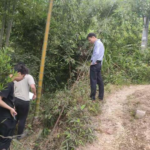 清流县开展地质灾害隐患点精细化调查评价