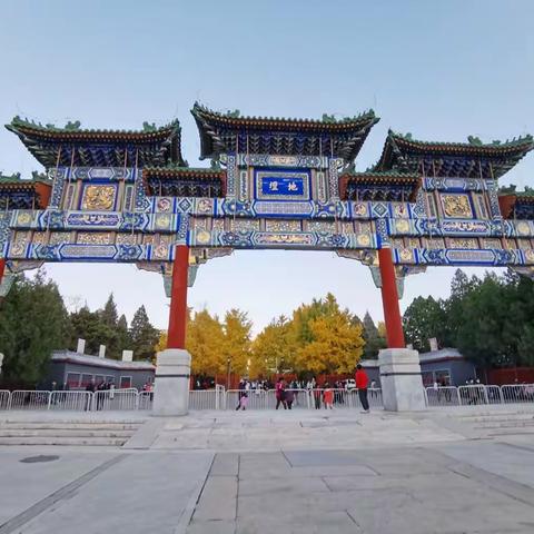 金色地坛（手机随拍）