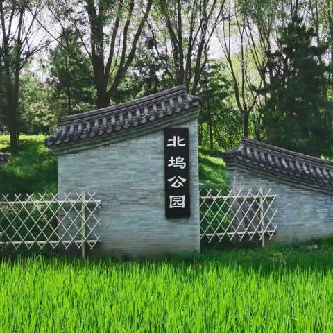 北坞公园（手机随拍）