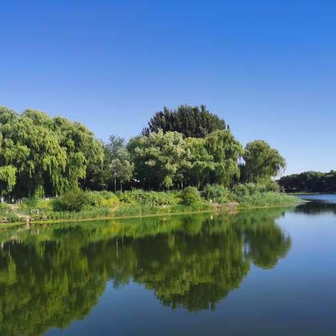 稻香湖 玛雅岛 维兰湖景（手机随拍）
