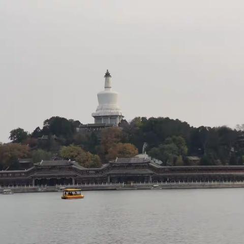 逛北海 观菊展
