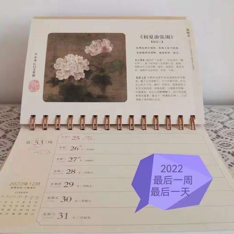 2022这一年