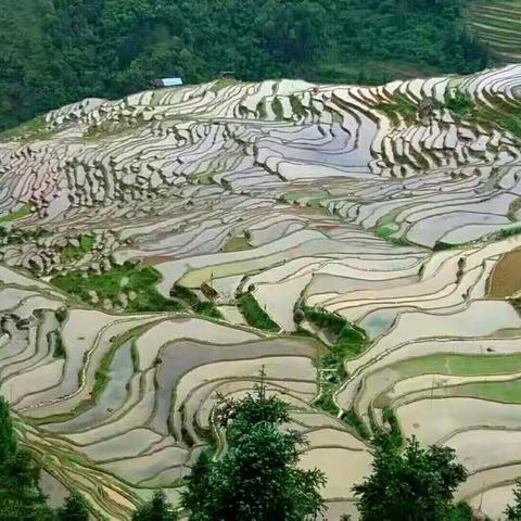 行万里路程摄多彩贵州·加榜梯田