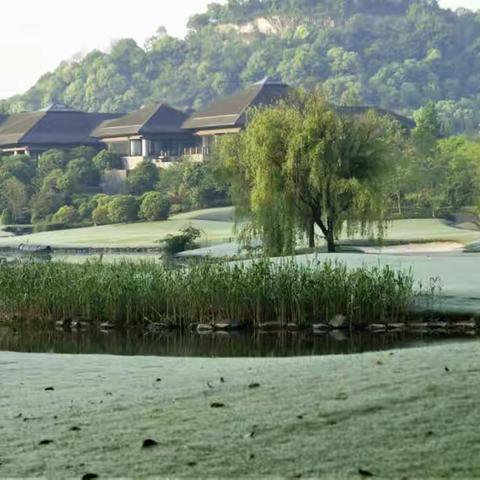 银行员工礼仪规范