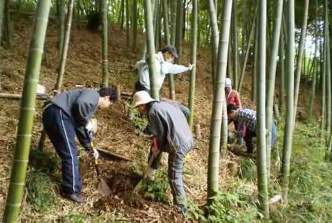 溧阳挖笋一日游