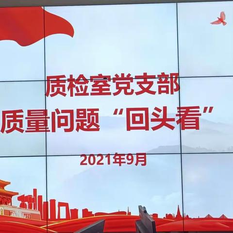 质检室党支部质量问题“回头看”专题学习活动