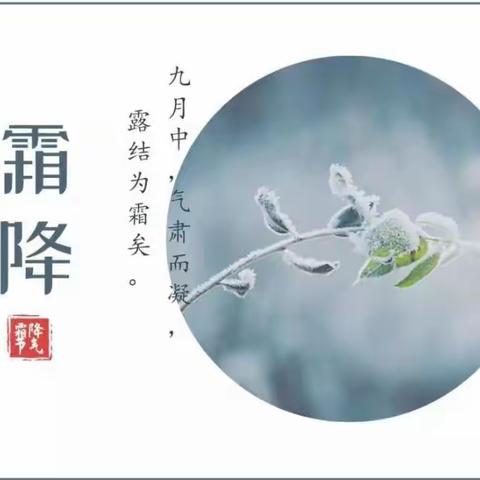 【真性文慧❤共赢未来】文慧小学二十四节气课程——岁岁霜降日日寒