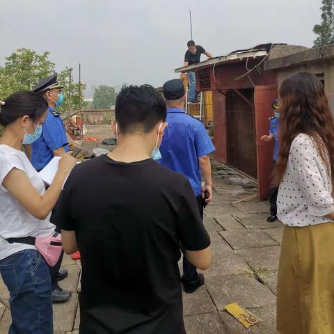 依法拆除顶楼鸽笼--我们在行动