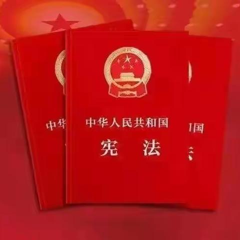 “学习宣传贯彻党的二十大精神，推动全面贯彻实施宪法”主题活动——刘川镇雒庄幼儿园