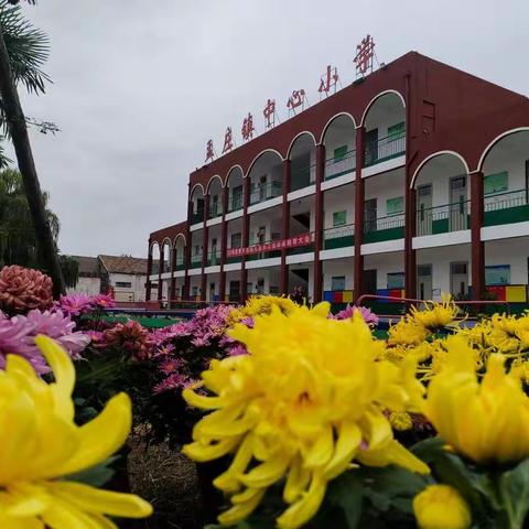 初心使命记心间，百炼成钢新征程！——孟庄镇中心小学青年教师公开课纪实