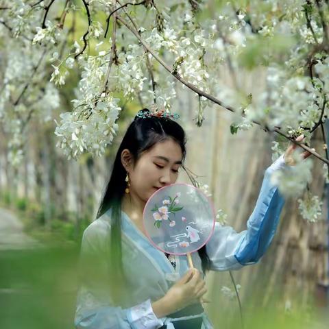 漫步紫滕🌸花