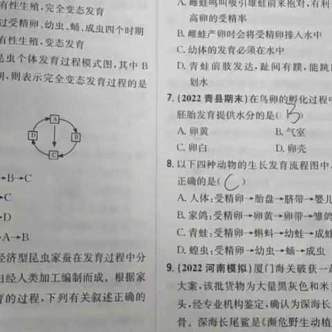 王锐小组作业情况