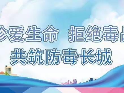 实地核查进校园   无毒青春伴成长——海南省毒品预防教育检查评估组莅临中平学校指导工作