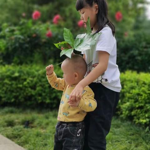 五一小长假，筑城广场赏花踏青