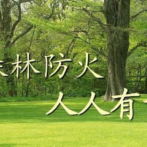 让森林远离火灾，让绿色拥抱大地。——里田镇中心小学森林防火宣传工作