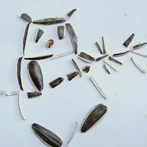 创意瓜子皮拼画——水寨中心小学六三班