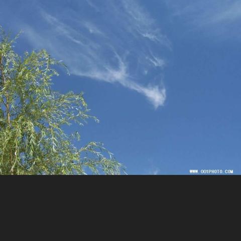 生命没有如果————神鹰救援伊川大队防溺水安全宣讲进水寨中心小学