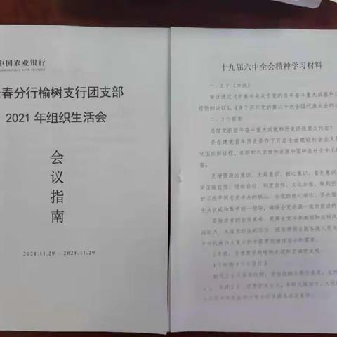 榆树支行党史学习教育专题团组织生活会