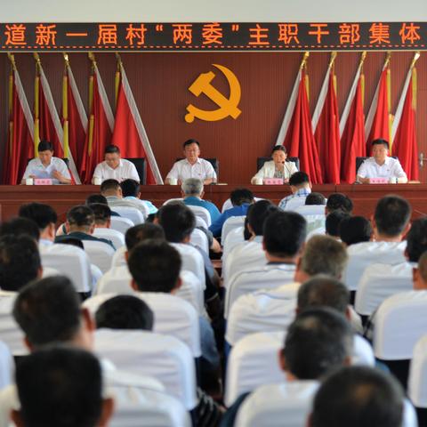 【太平党群之声】（七十六）“三定”活动办实事，“两委”干部新作为