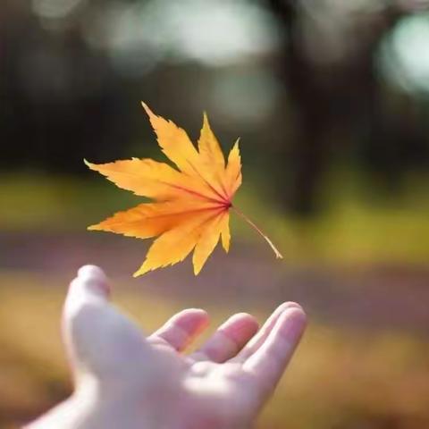让爱传递