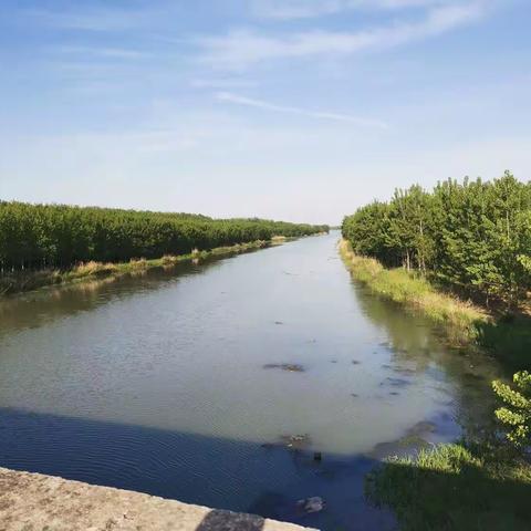 蔷薇河初夏