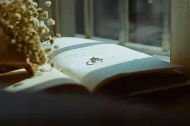 梦回书页间，解析我梦见我的书被别人抢走了的深层含义