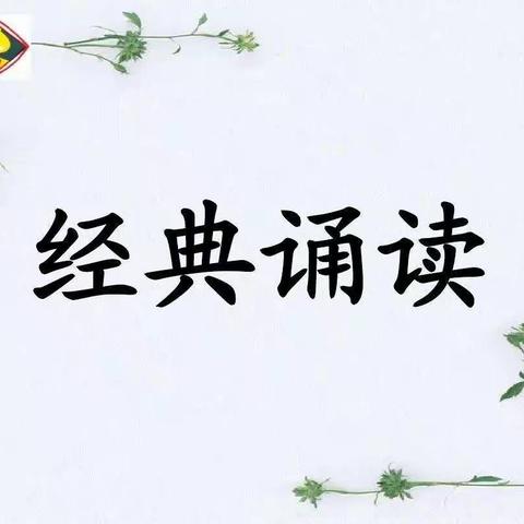 二程广场经典晨读精彩掠影