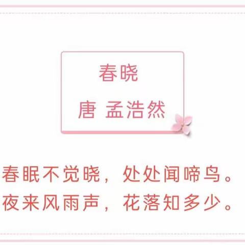 空中爱相伴——大众报业集团幼儿园居家活动指导