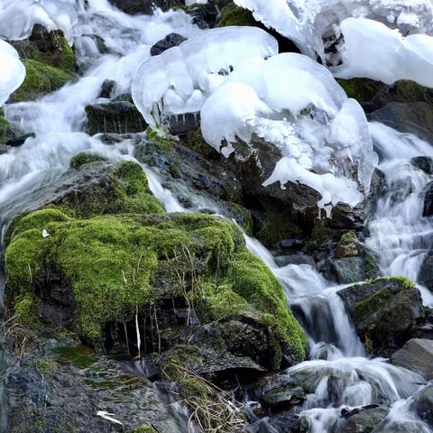 【半亩方塘】五绝 冬雪