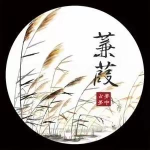 第四课《诗经—蒹葭》（2.8学习任务）