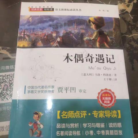 你说我是池阳小学三年一班刘佳玉，我正在参加池阳小学主题:“微实践做中学生”微阅读活动