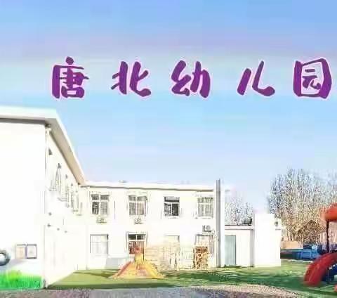 劳动最光荣——唐北幼儿园小班项目式活动设计与实施