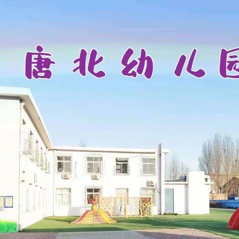 《心灵护航，“疫”路相伴》——唐北幼儿园组织幼儿心理健康教育及家庭教育促进法学习活动