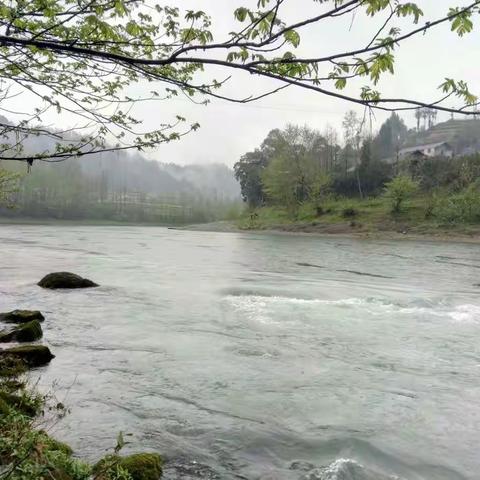 洪家滥（小河口）踏青