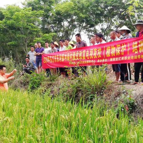 冲南村积极组织建档立卡贫困户参与完成“植物保护”技能培训