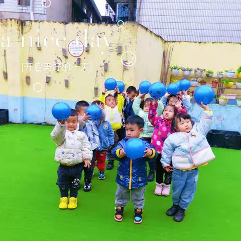 苗苗班一周《快乐小时光 💓》