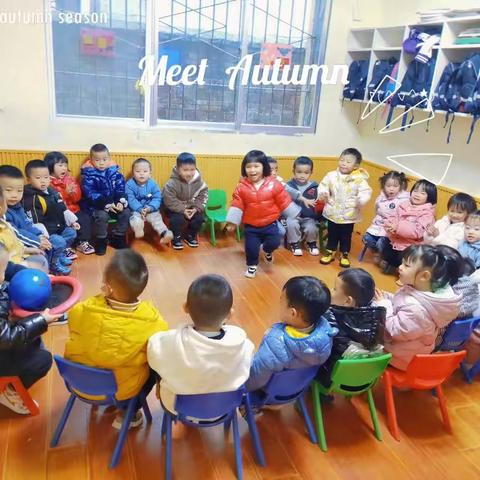 苗苗班小可爱们的一周记 🌸