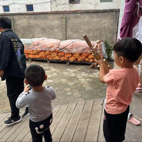 四朵金花的十个娃