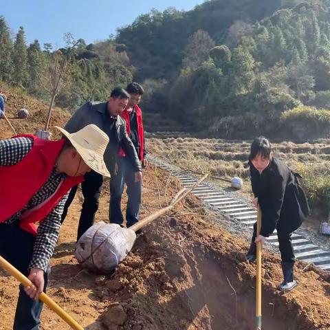 春风十里，“河小清们”植树走起！