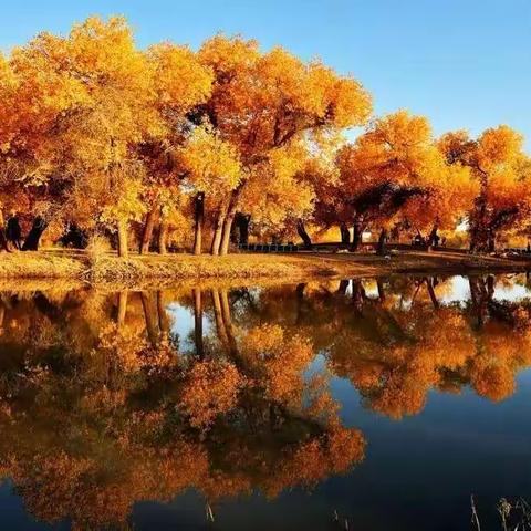 千年守候只为谁