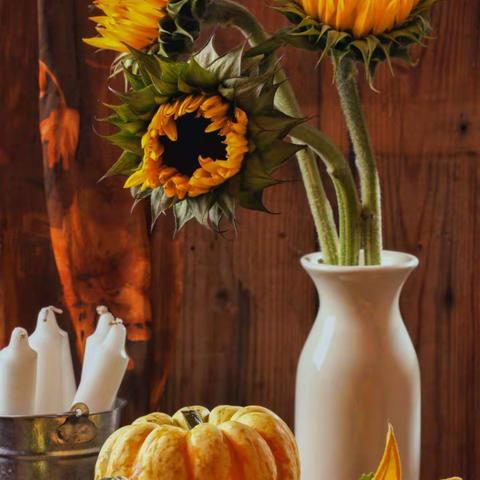 人到中年的困与惑