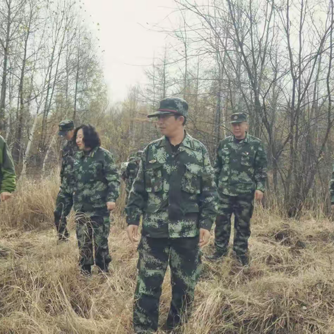 林业集团公司生态修复管理处深入新林林业局 核查营造林项目