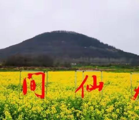 秋播一粒籽 春现万亩花