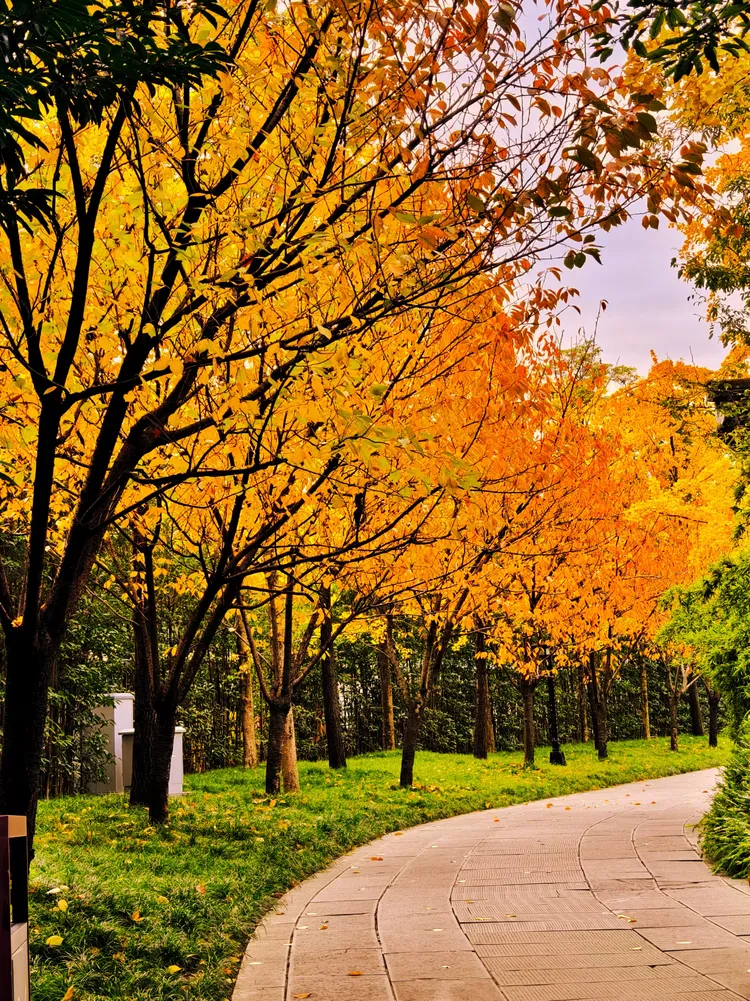 定格南郊公园一隅