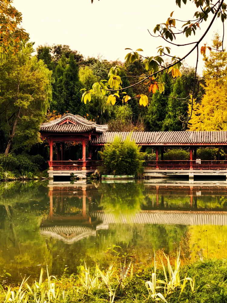 定格南郊公园一隅