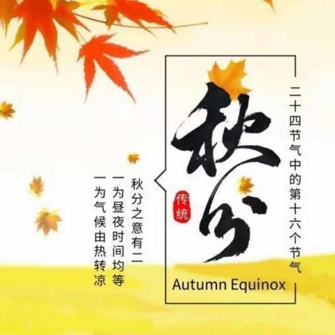 秋意浓之秋分时节——滨城区第四小学幼儿园（郭集园大二班）