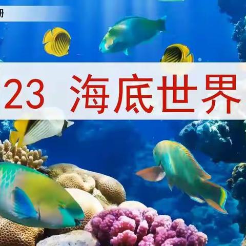 23《海底世界》第1课时预习