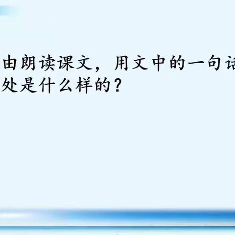 23《海底世界》第2课时预习