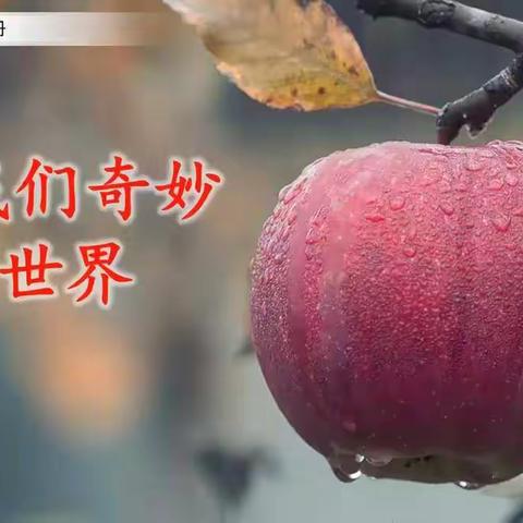 22《我们奇妙的世界》第2课时预习